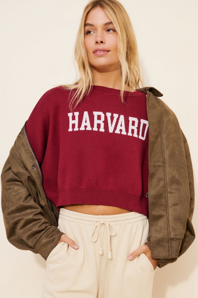 Hype and Vice Harvard Ivy Knit Sweater #2