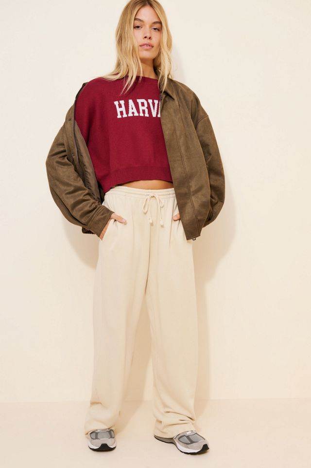 Hype and Vice Harvard Ivy Knit Sweater #3