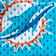 Miami Dolphins