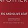 Fig & Olive Leaf