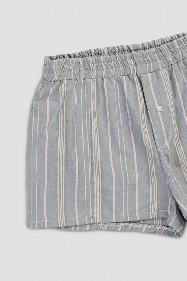 Mini Boxer Shorts #1