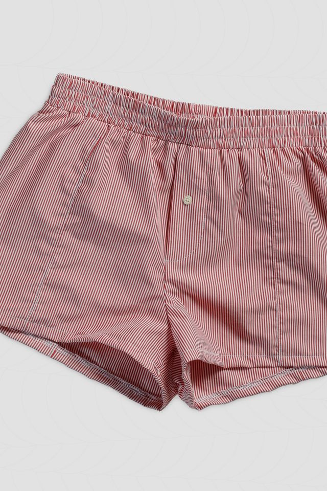 Mini Boxer Shorts #2