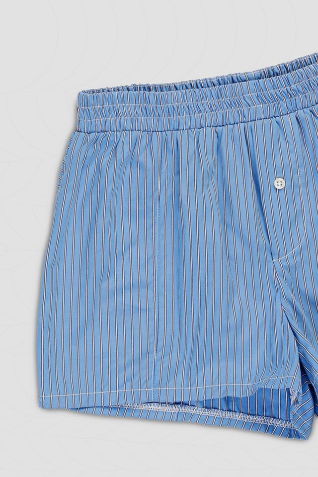 Mini Boxer Shorts #2