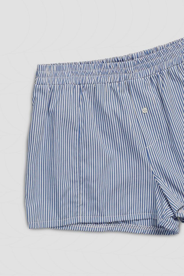 Mini Boxer Shorts #2