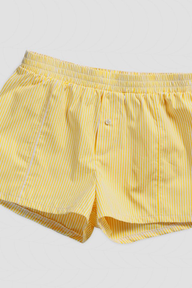 Mini Boxer Shorts #2