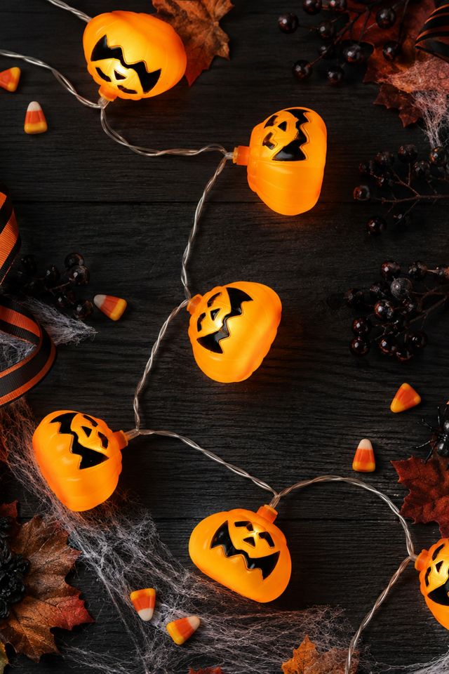 Pumpkin 4ft String Lights #3