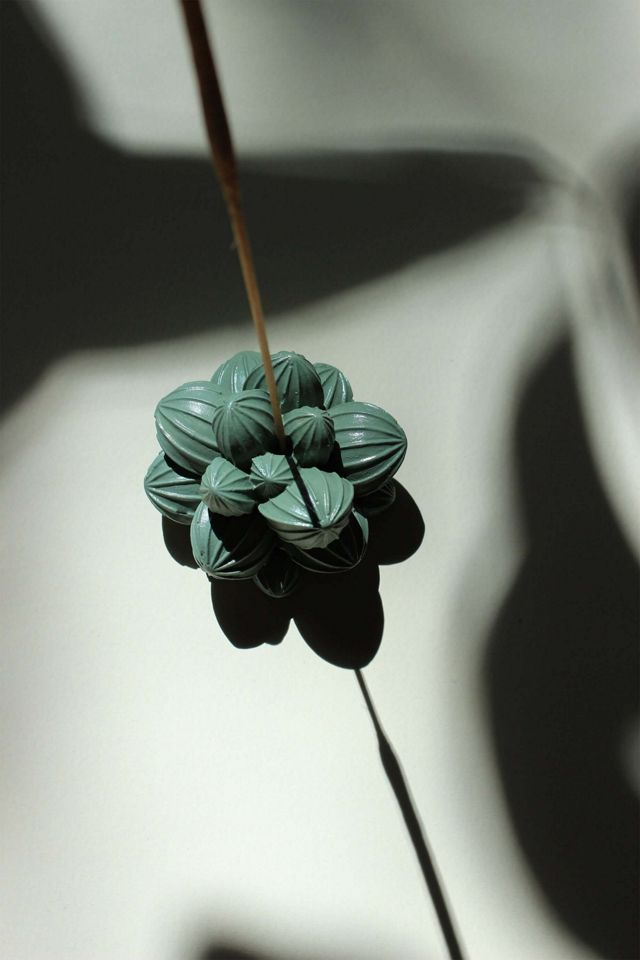 Acquired Taste Succulent Incense Stick Holder #1