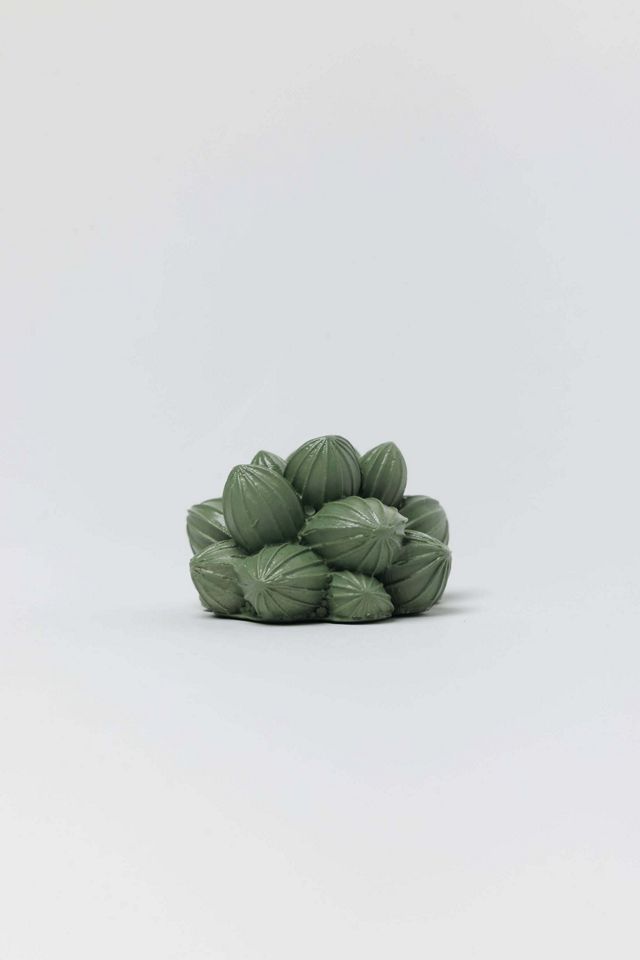 Acquired Taste Succulent Incense Stick Holder #2
