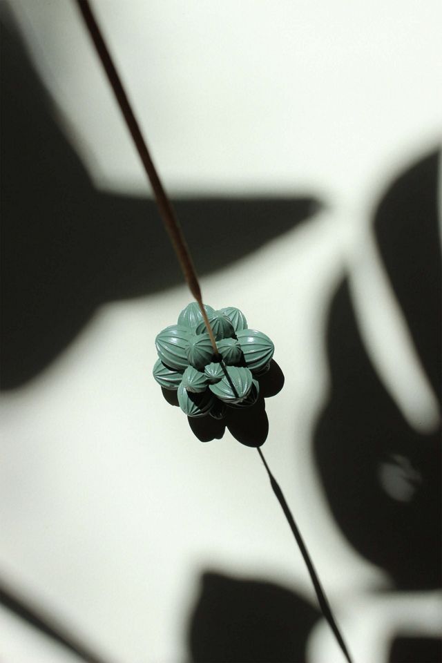 Acquired Taste Succulent Incense Stick Holder #3
