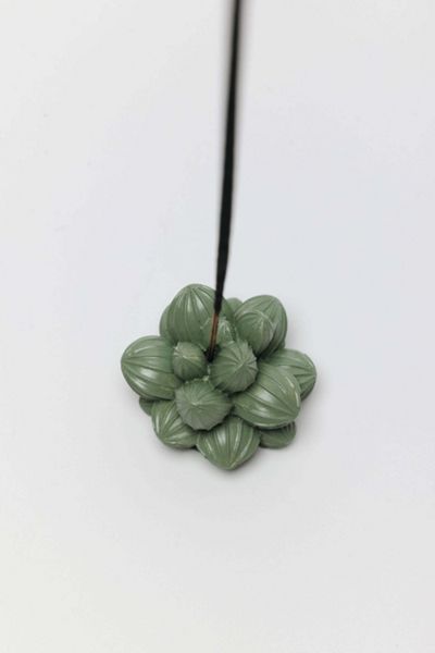 Acquired Taste Succulent Incense Stick Holder
