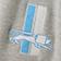 Detroit Lions