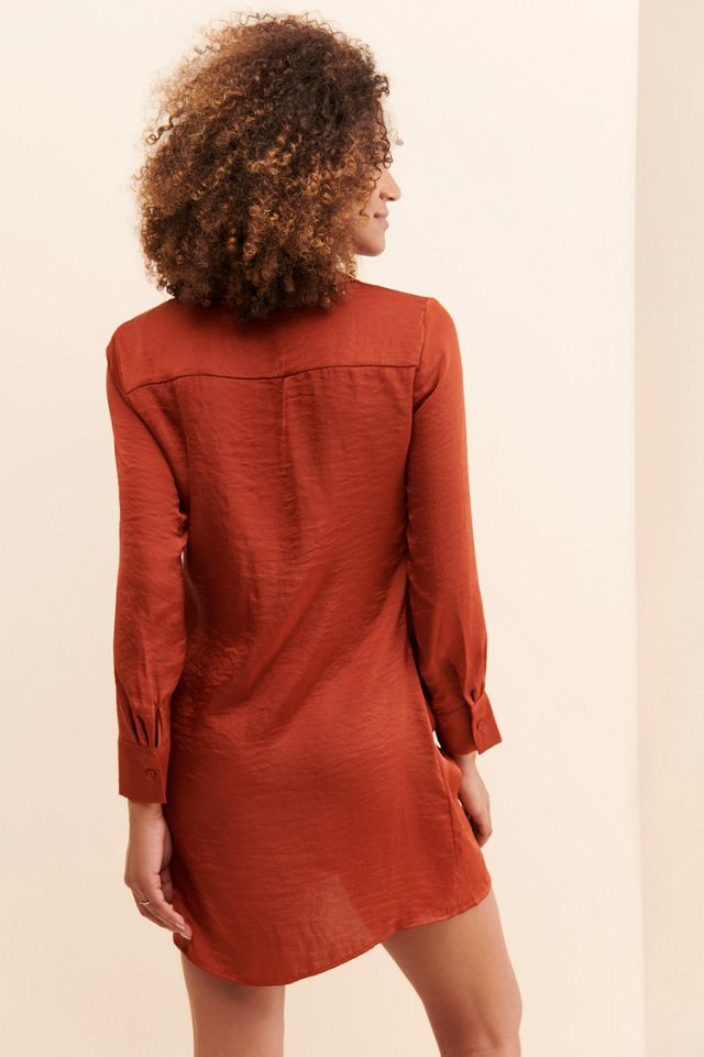 BB Dakota The Curious Shirtdress #1