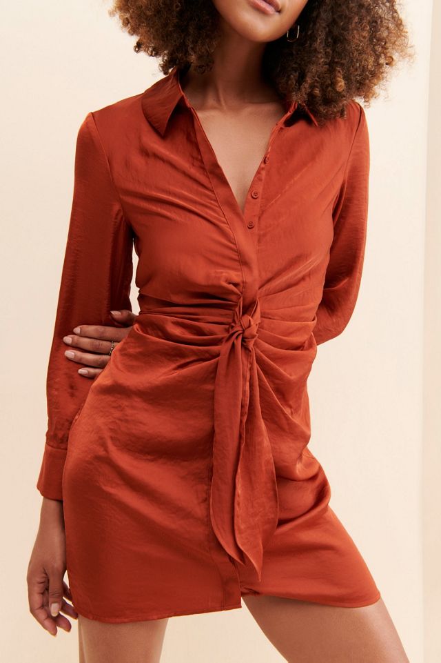 BB Dakota The Curious Shirtdress #2