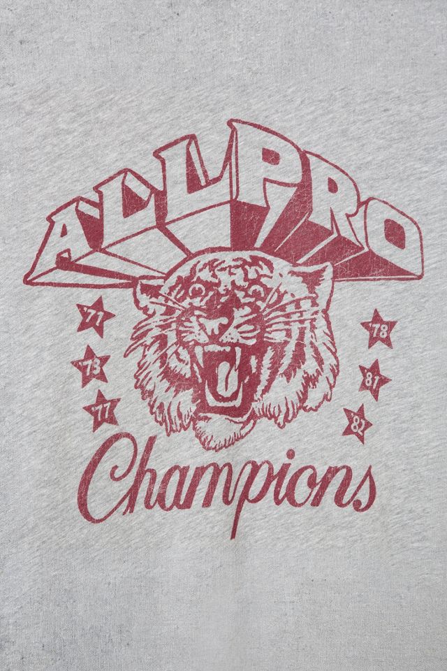 Junk Food All Pro Champions Vintage Tee #2