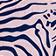Navy/Pink Zebra