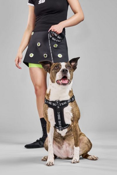 Wild One Step-in Harness