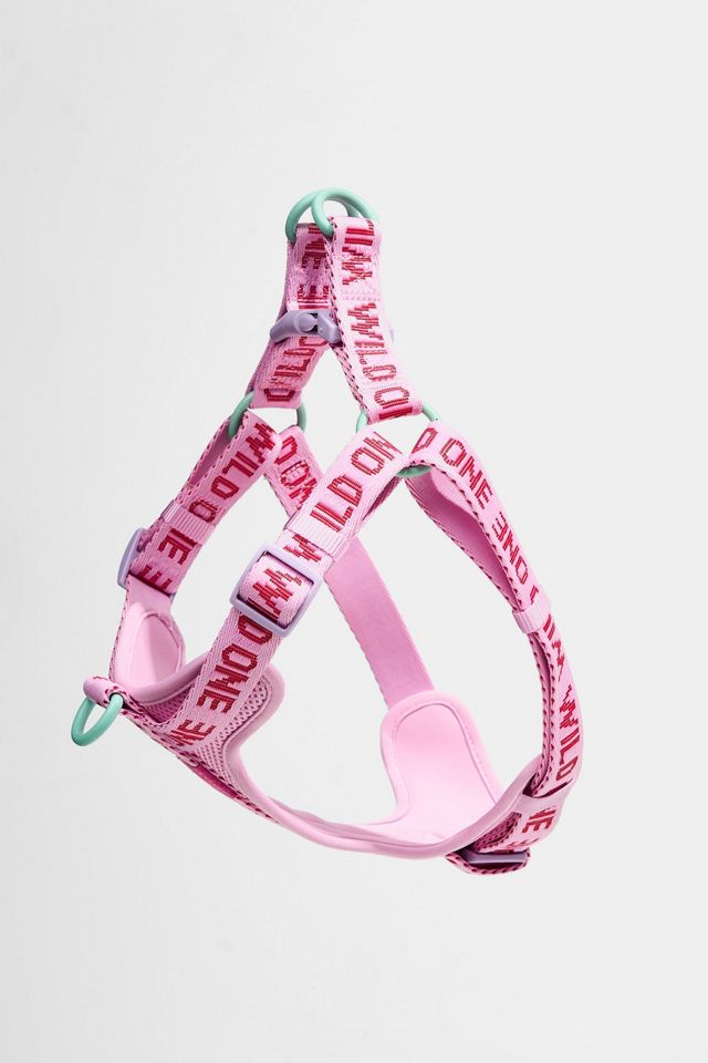 Wild One Step-in Harness #2
