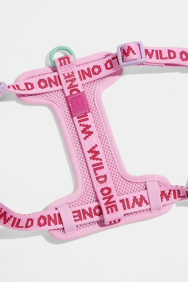 Wild One Step-in Harness #3