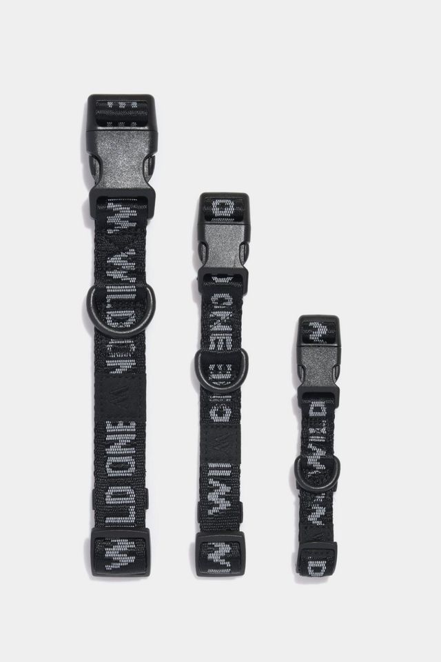 Wild One Quick-Release Dog Collar #4