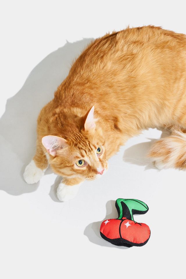Wild One Plush Cat Toy #4