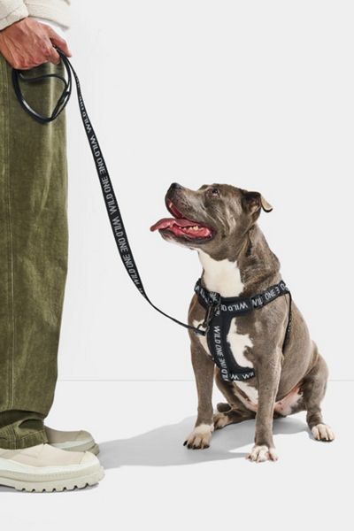 Wild One Lightweight Leash