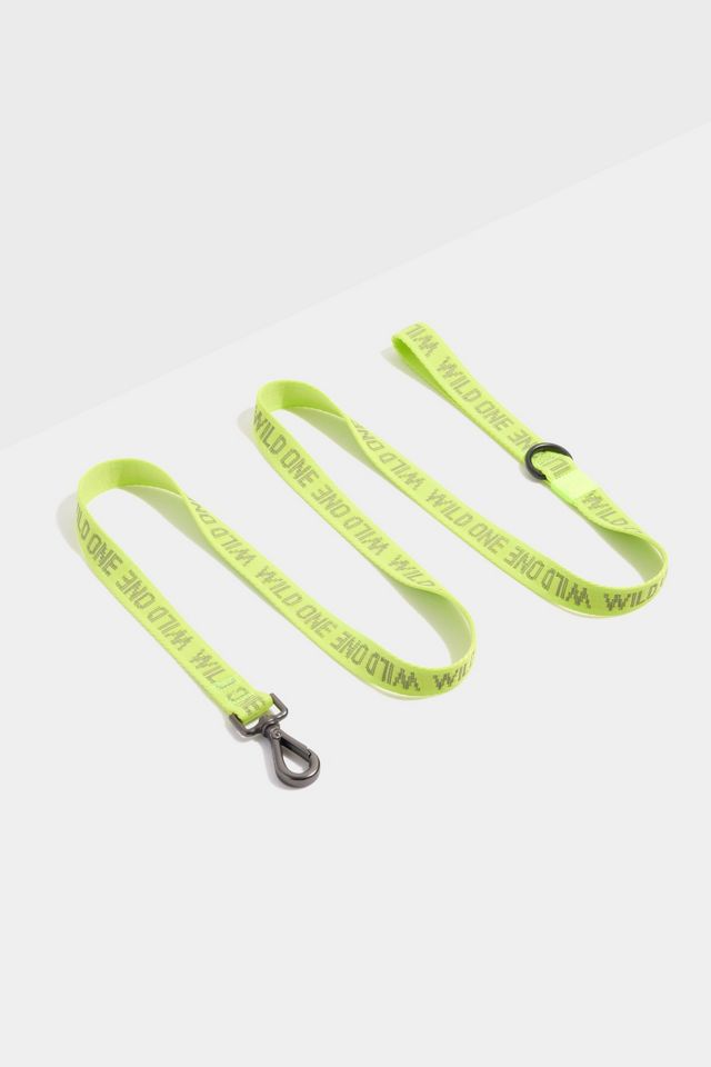 Wild One Lightweight Leash #2