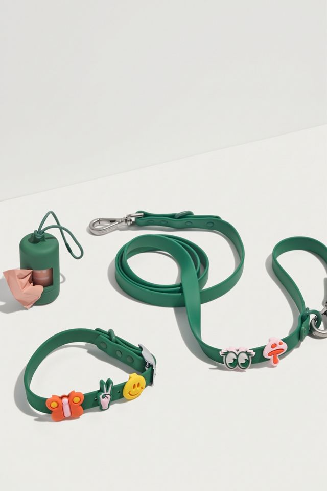 Wild One Leash and Collar Flair Bundle #1
