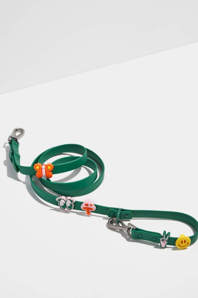Wild One Leash and Collar Flair Bundle #2