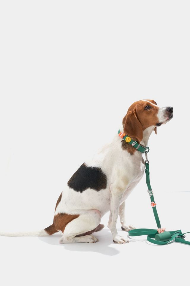 Wild One Leash and Collar Flair Bundle #3
