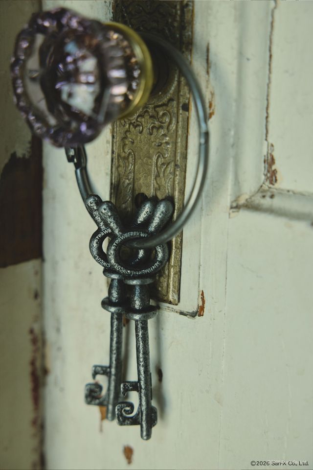 Strawberry Western Sentimental Circus Skeleton Keys Charm #4