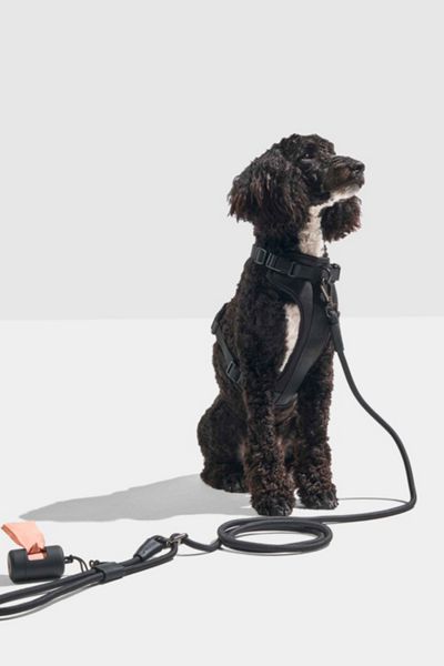 Wild One Hands-Free Rope Dog Leash