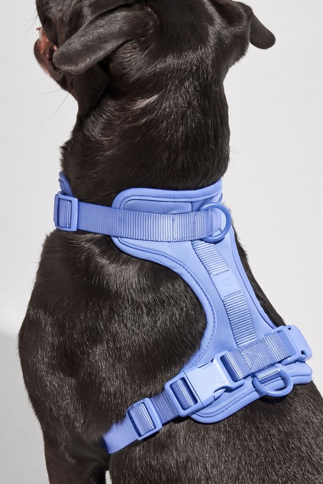 Wild One Cushioned Dog Harness #1