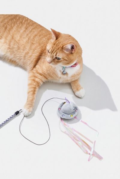 Wild One Cat Wild Wand