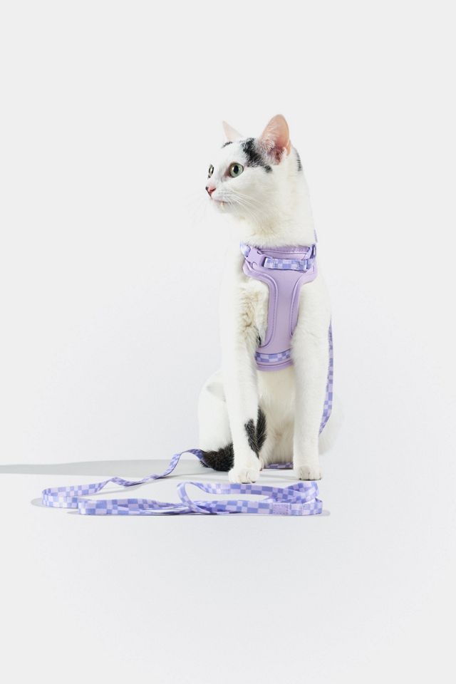 Wild One Cat Harness & Leash #1