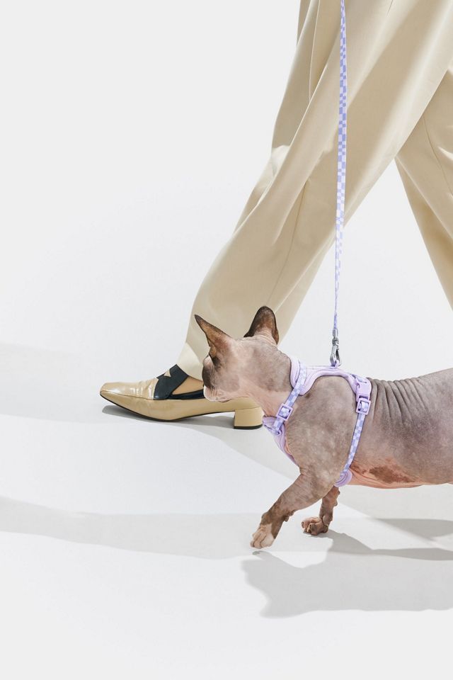 Wild One Cat Harness & Leash #2
