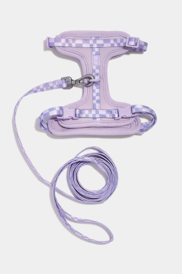 Wild One Cat Harness & Leash #3