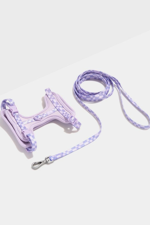 Wild One Cat Harness & Leash #4