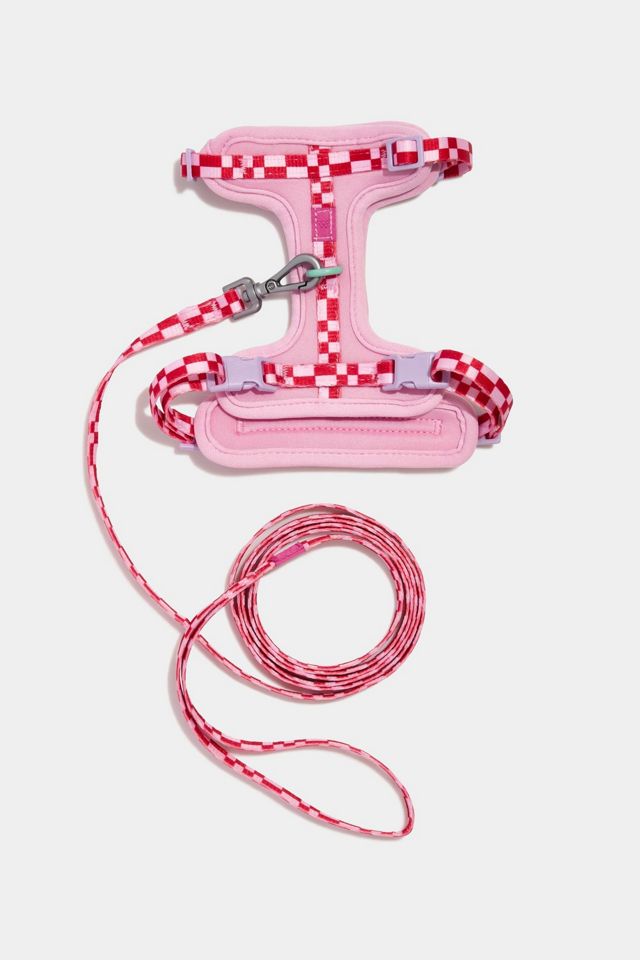 Wild One Cat Harness & Leash #2