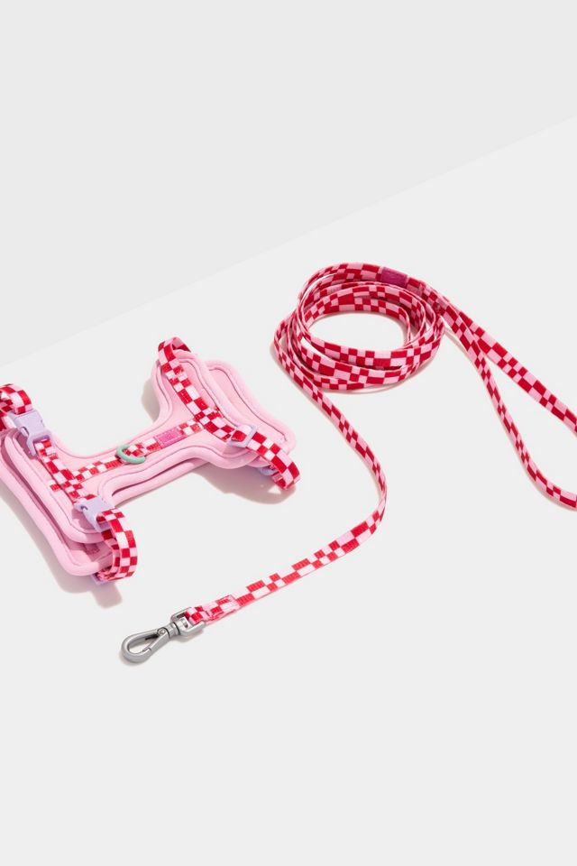 Wild One Cat Harness & Leash #4