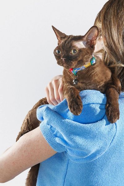 Wild One Breakaway Cat Collar