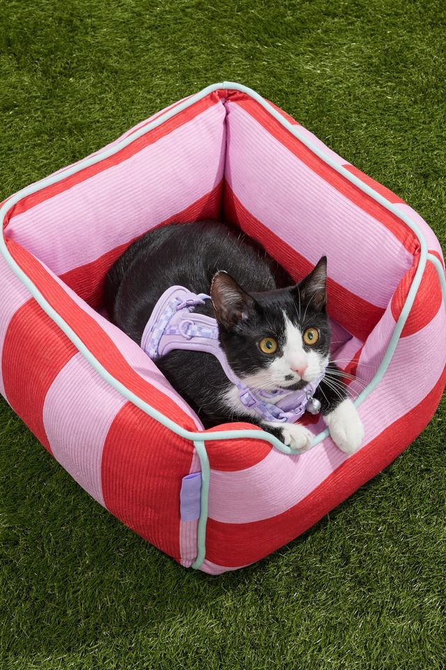 Wild One Cat Bolster Bed #2
