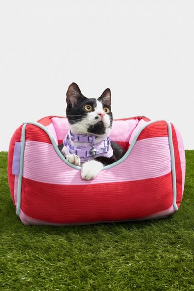 Wild One Cat Bolster Bed