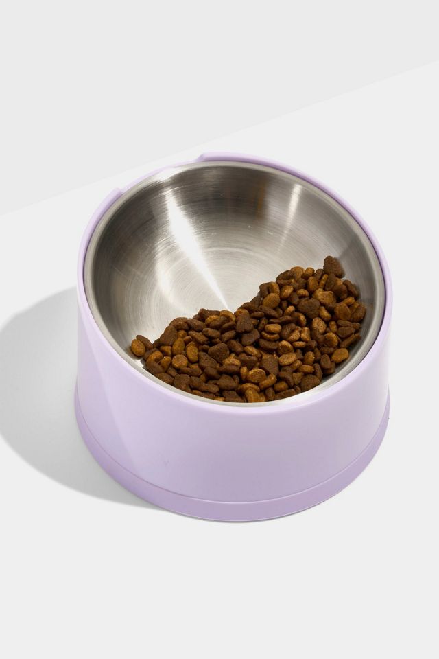 Wild One Cat Slanted Bowl #2