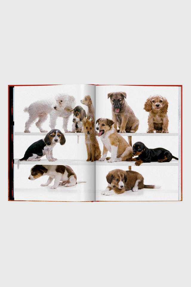 TASCHEN Walter Chandoha. Dogs. Photographs 1941–1991 #2