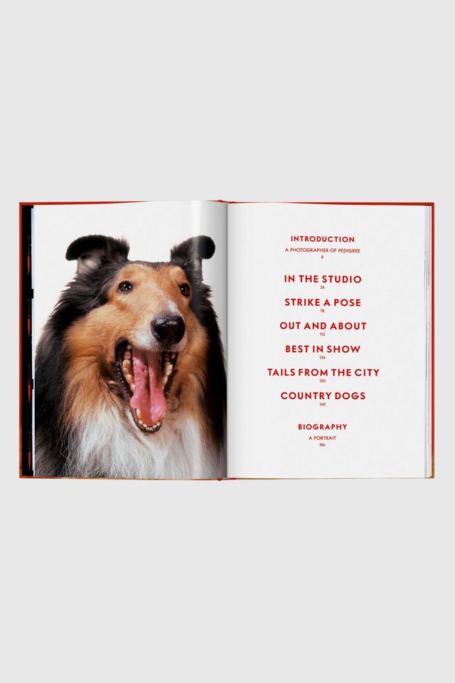 TASCHEN Walter Chandoha. Dogs. Photographs 1941–1991 #3