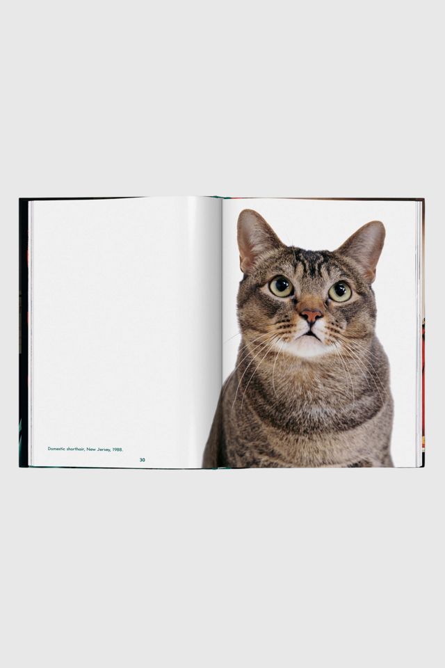TASCHEN Walter Chandoha. Cats. Photographs 1942–2018 #2