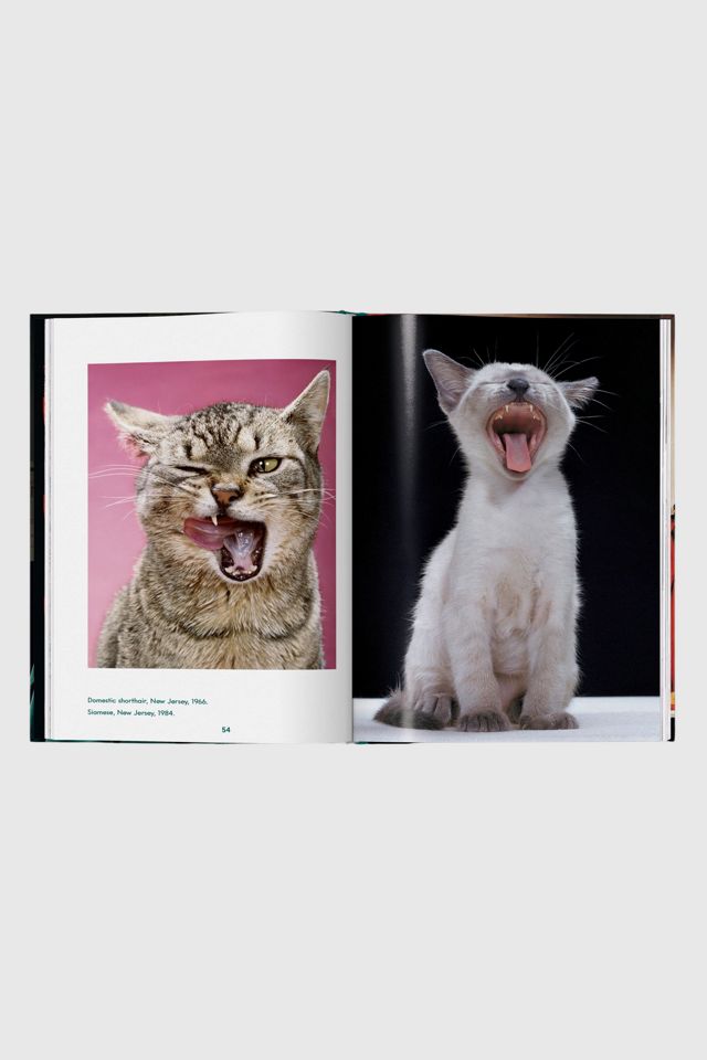 TASCHEN Walter Chandoha. Cats. Photographs 1942–2018 #3