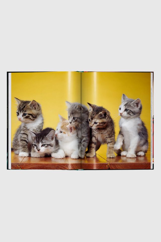 TASCHEN Walter Chandoha. Cats. Photographs 1942–2018 #4