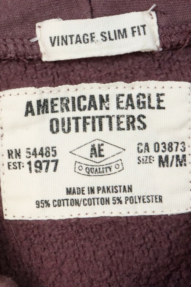 Vintage American Eagle Outfitters Hoodie #2
