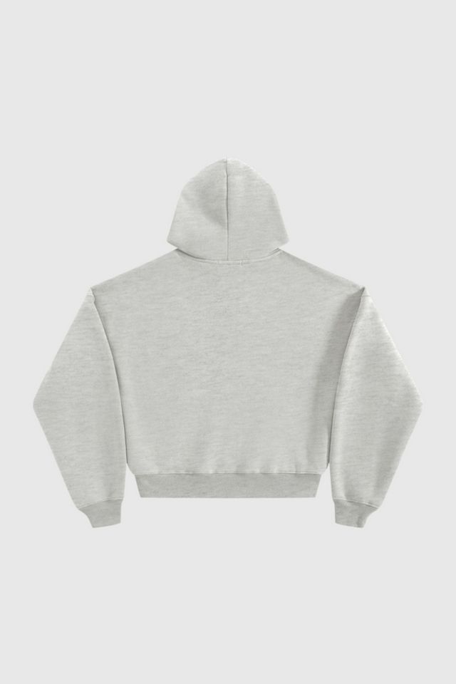 Aelfric Eden Boxy Fleece Pullover Hoodie #4